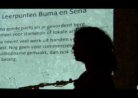 Sena-bijenekomst